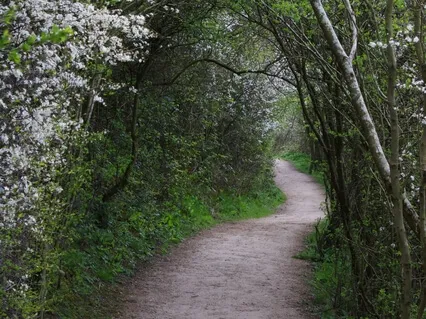 60 Second Walking Meditation Time Out