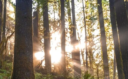 61 Point Breathing To Relieve Stress & Worry