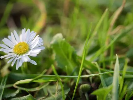 61-Point Yoga Nidra Practice