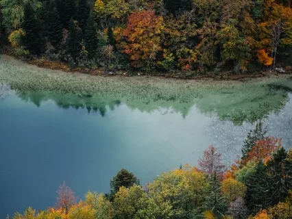 639 Hz | Cuencos Tibetanos Curativos y Música Binaural | Relajantes Sonidos Suaves del Río con Aves Locales