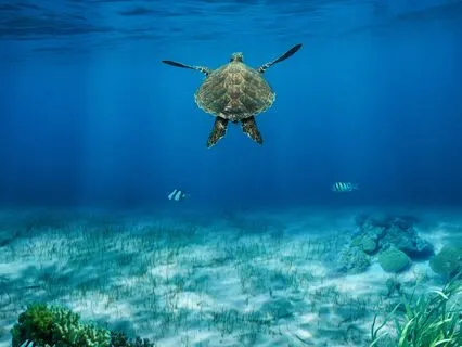 639 Hz – Deep Sleep