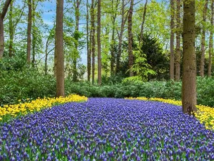 639 Hz Emotional Balance: Heart Healing Frequency For Peace