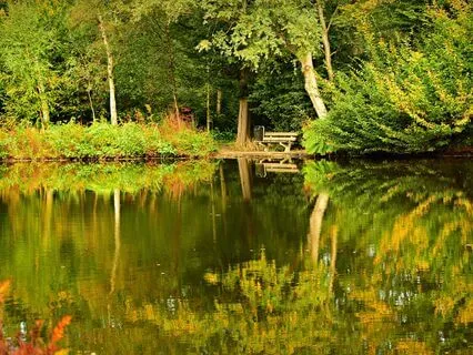 639 Hz Enhanced Focus And Concentration