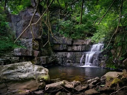 639 Hz | Healing Tibetan Bowls & Binaural Music | Relaxing Gentle River Sounds With Local Birds