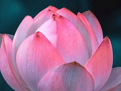 639 Hz – Heart Harmony & Relational Flow