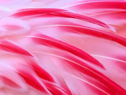 639 Hz Solfeggio Frequency - For Harmony & Balance