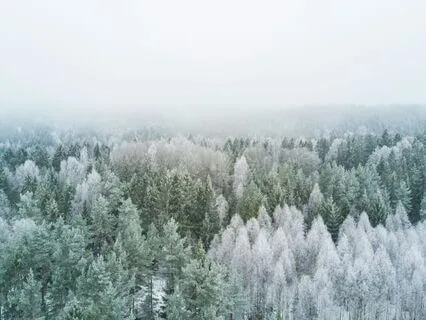 639 Hz Winter Harmony, Ground & Restore Mind & Body