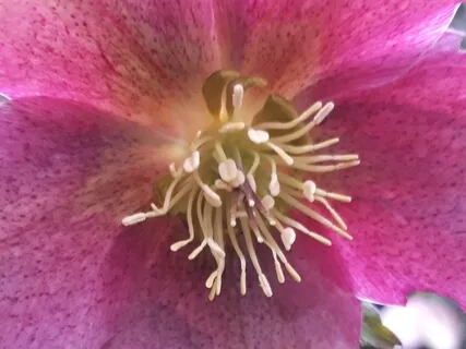 639Hz Establish Communication