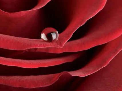 639Hz - Love & Matters Of The Heart