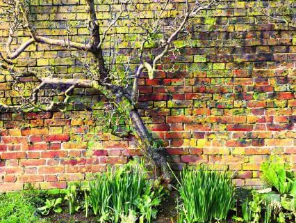 639 Hz Connect To Your Source