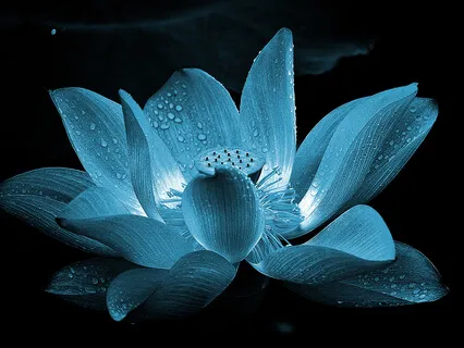 672Hz Throat Chakra Healing Music - Vol.2