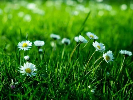 6th Chakra Guided Meditation For Creativity & Happiness