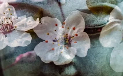 6th Line Human Design/ Life's Work Gene Keys Meditation