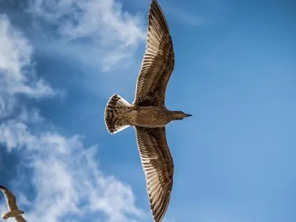 7 Минут Дыхания Для Снятия Стресса