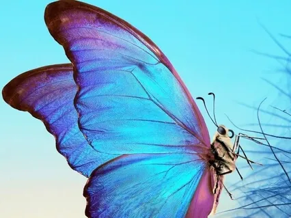 7:11 Breathwork Guided Meditation