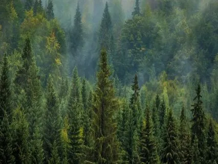 7.5-Min Morning Checklist + Prayer | Inner Light Switch On