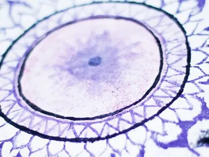 7/7 Portal | Mystical Awakening