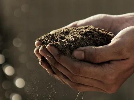 7.83hz Earth's Frequency With ASMR Light Language