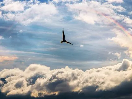 7 Archangels Energetic Connection