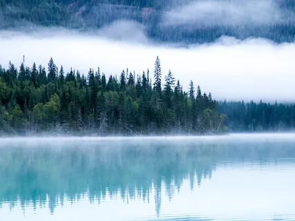 7 Breaths Body Centered Practice