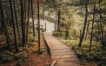 7 Breaths In 7 Breaths Out