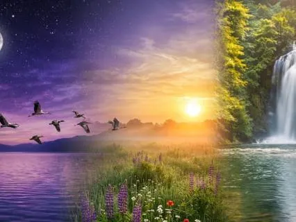 7 Chakra Alignment Meditation | From Root To Crown