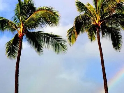 7 Chakra-Balancing Sounds Heal Your Energy Body