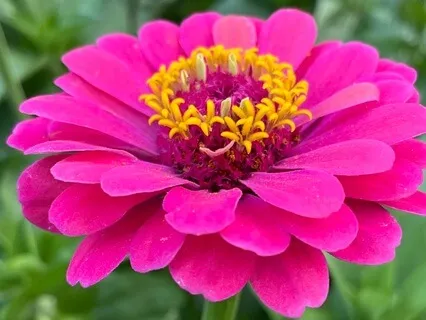 7 Chakra Crystal Bowl Sound Healing | Rishikesh Energy Reset