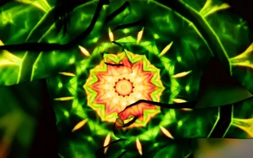 7 Chakra Healing Meditation, Unblock & Activate All Chakras