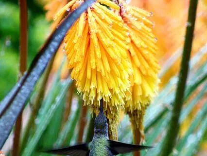 7-Chakra Healing: Visual Journey For Full Alignment