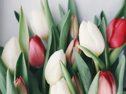 7 Chakras Visualization to Balance, Heal and Align