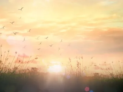 7 Chakras Balancing With Reiki Energy