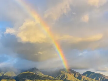 7 Chakras Sound Journey: Cleansing, Balancing & Healing 