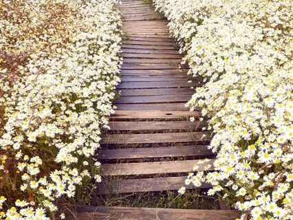 7-Day Challenge: Reclaim Your Balance Day 1