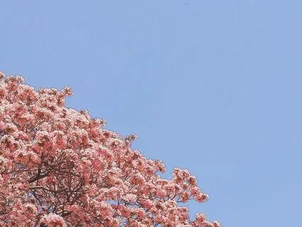 7 Day Compassion Challenge - Day 1