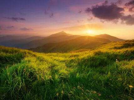 7-Day New Year's Practice: Day 7 Mindful Observation