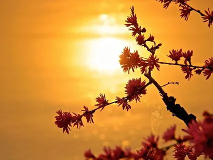 7 Days To Your Best Year Yet-day 3