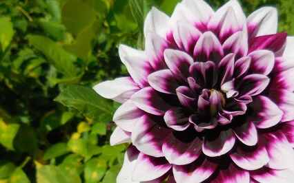 7 Insights On How To Meditate And Live A Better Life 