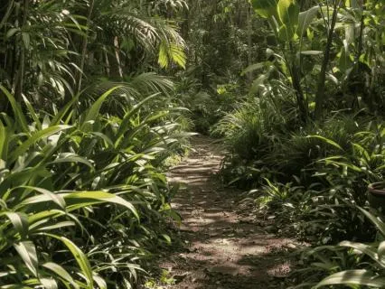 7 Minute Body Scan To Release Tension