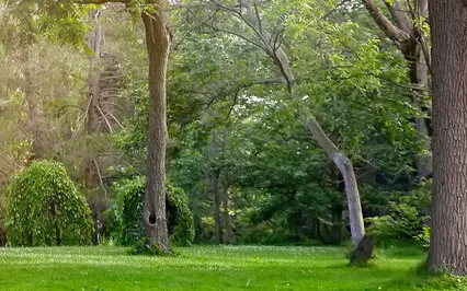 7 Minute Grounding Meditation