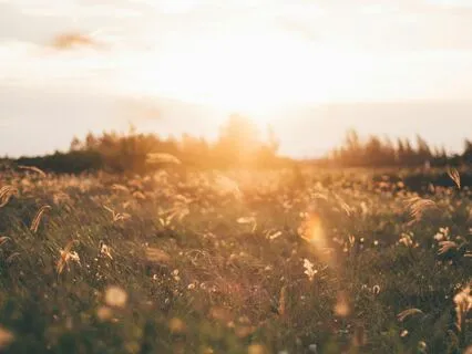 7 Minute Grounding Meditation