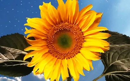 A Grounding Kickstart To Your Day (2025 Remix)