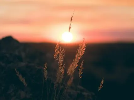 8 Minute Magical Morning Meditation