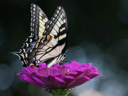 7 Minute Manifestation Meditation