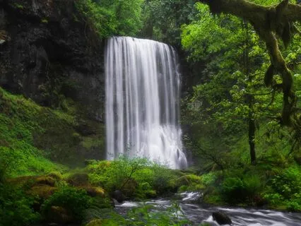 7-Minute Manifestation Ritual With Isochronic Tones