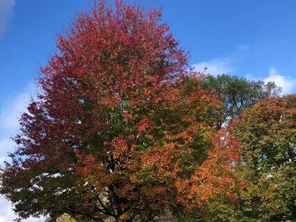 7-Minute Meditation For Relaxation And Stress Relief