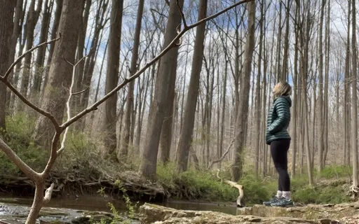 7 Minute Meditation With Nature