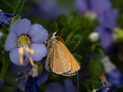 7-Minute Mindful Breath Meditation