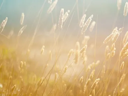 7-Minute Mindful Pause