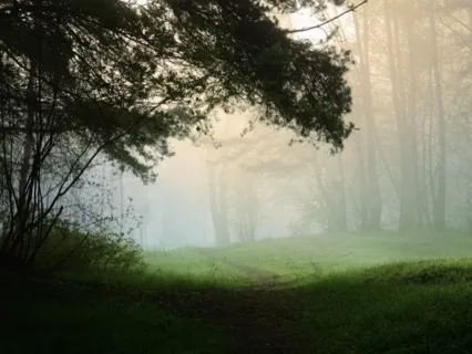 7 Minute Mindful Sitting Practice